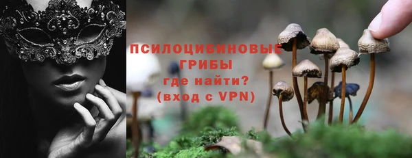 PSILOCYBIN Нефтегорск