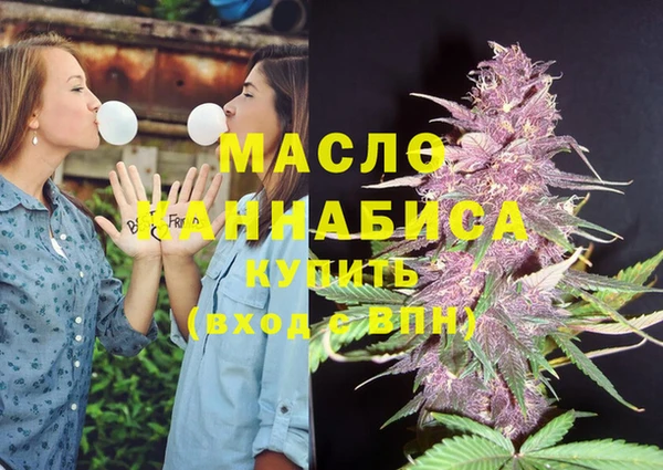 гашик Нея