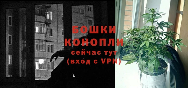 гашик Нея
