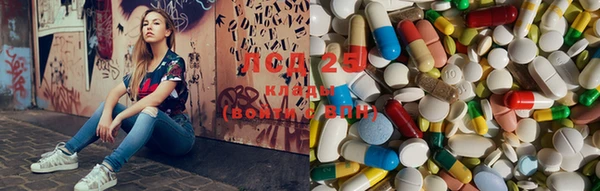 PSILOCYBIN Нефтегорск