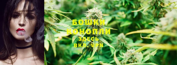гашик Нея