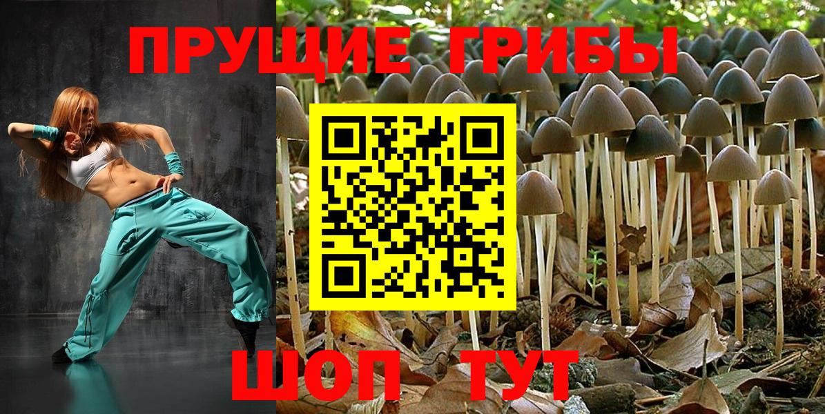 Псилоцибиновые грибы GOLDEN TEACHER Асбест