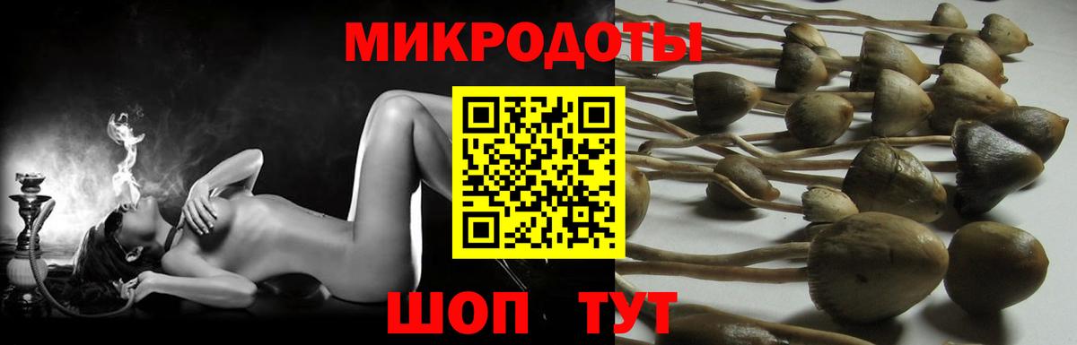 Псилоцибиновые грибы мицелий  Асбест 